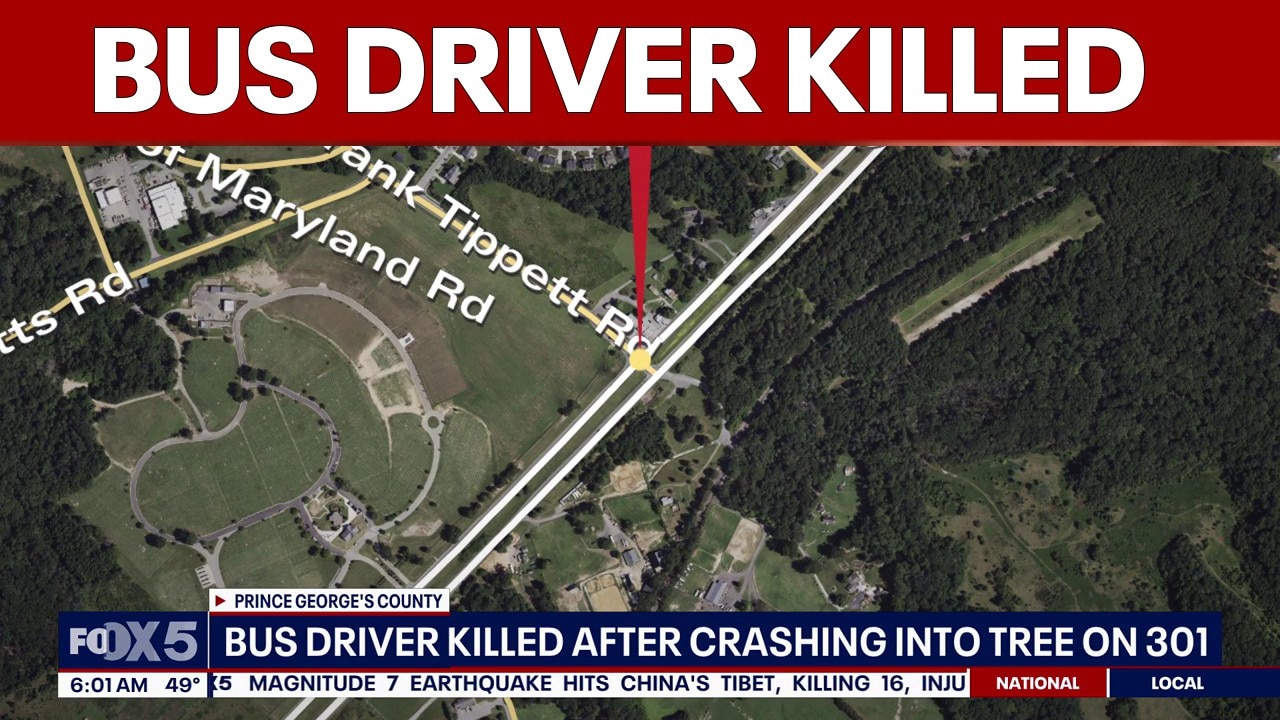 Bus driver killed after crashing into tree in Prince George's County | FOX 5 AT 4AM 
