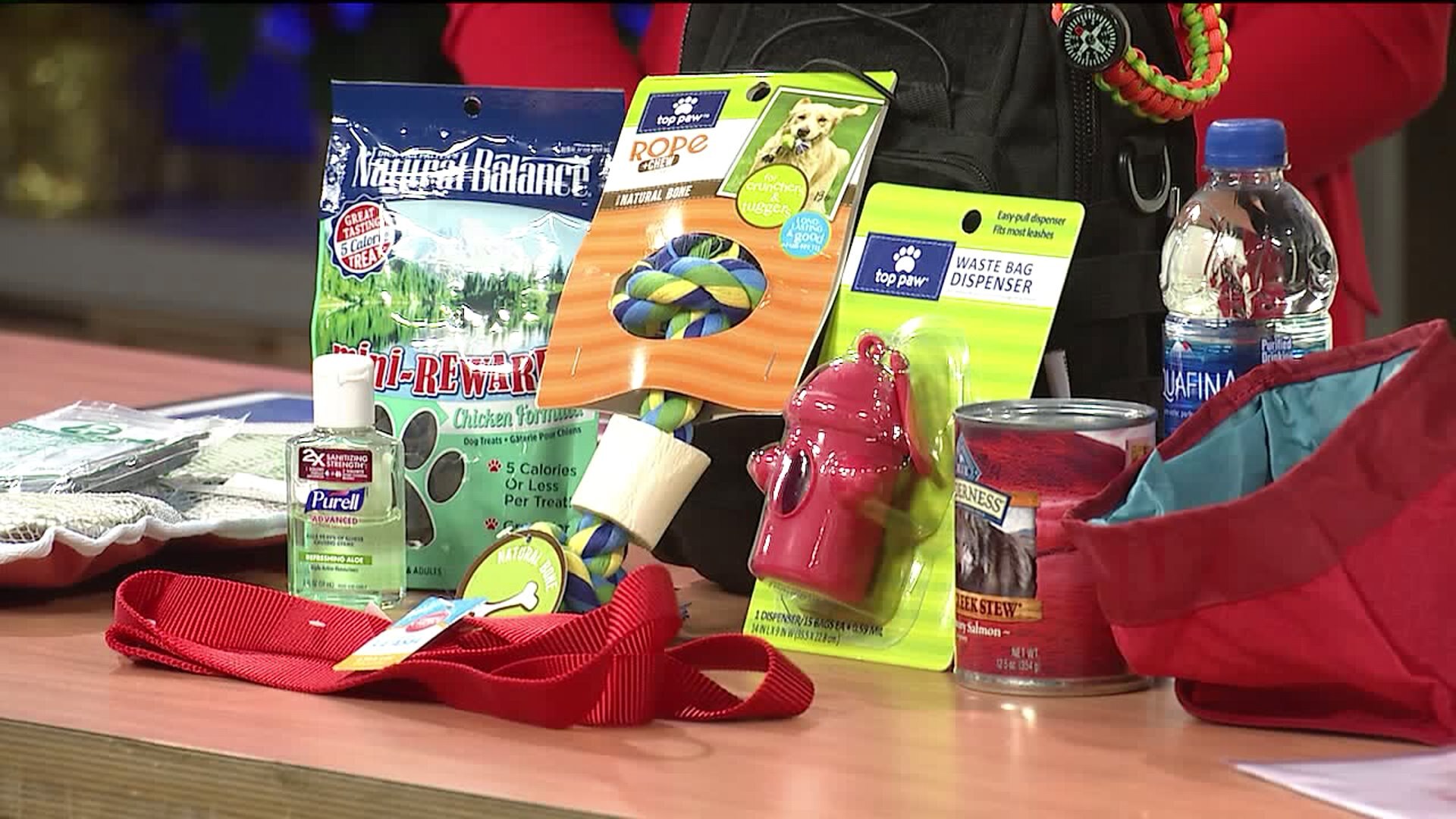 emergency kit for pets