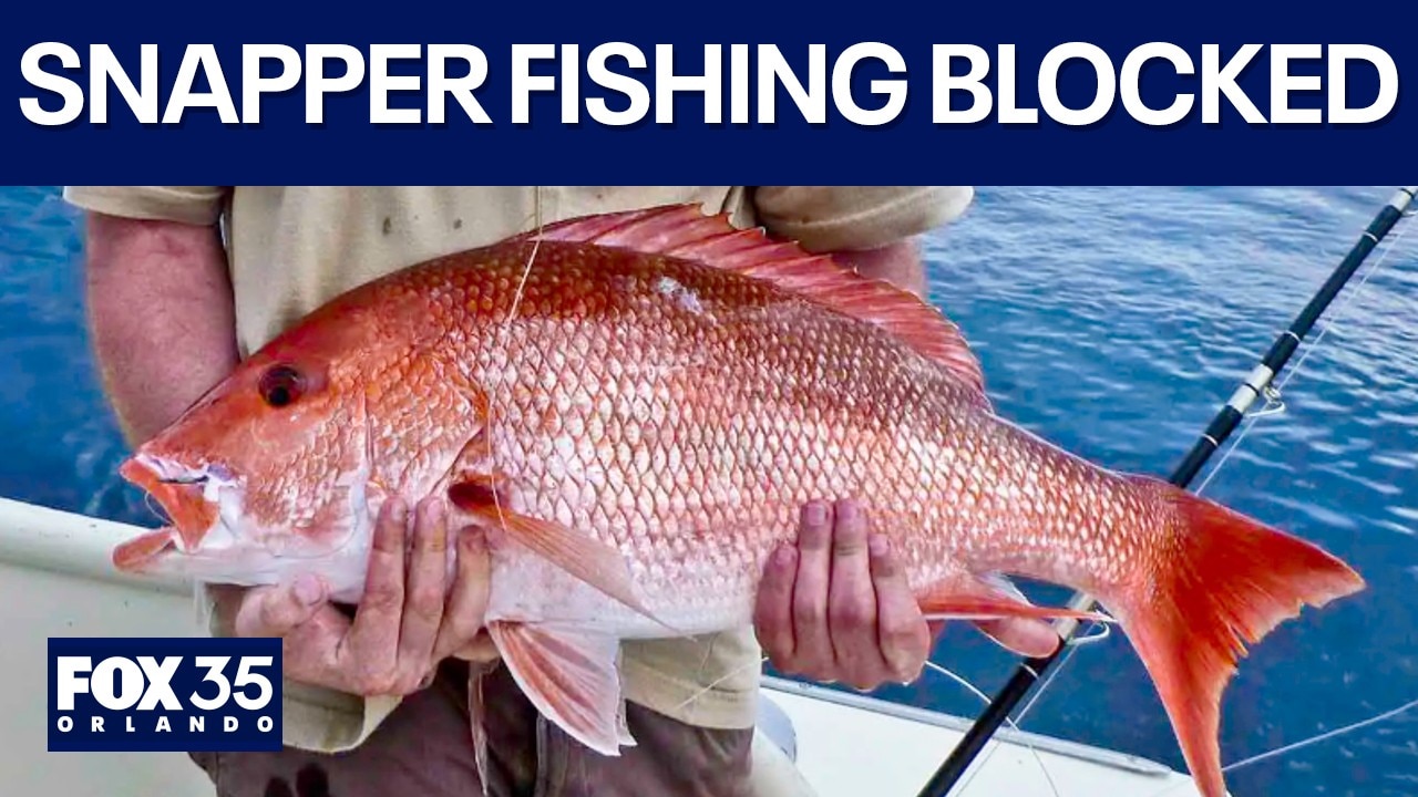 How Randy Fine is fighting Red Snapper fishing stop