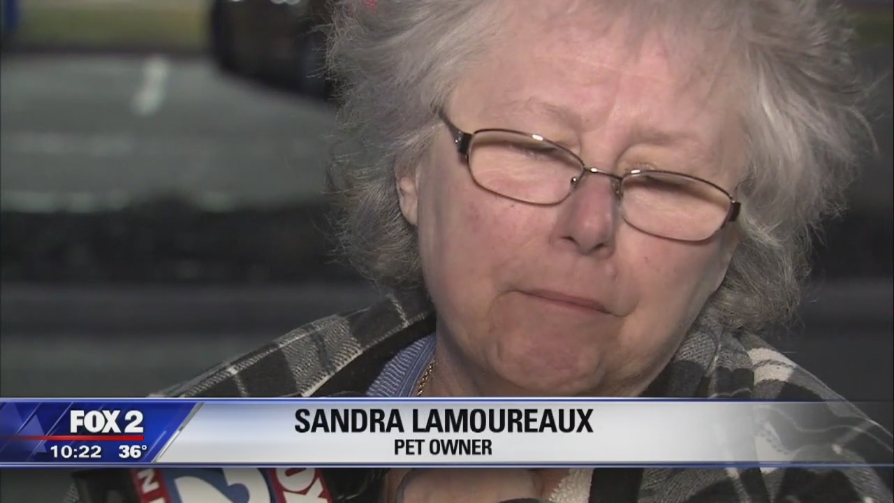 puppy found in plastic dies, 5k reward to find person responsible