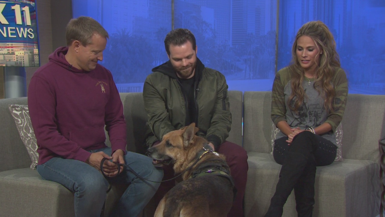 Meet the founder of 'Hounds and Heroes'