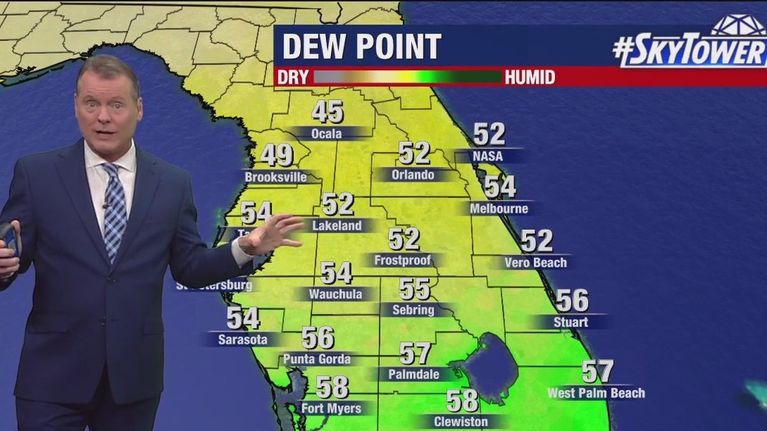 Tampa weather | warm day, dry for now