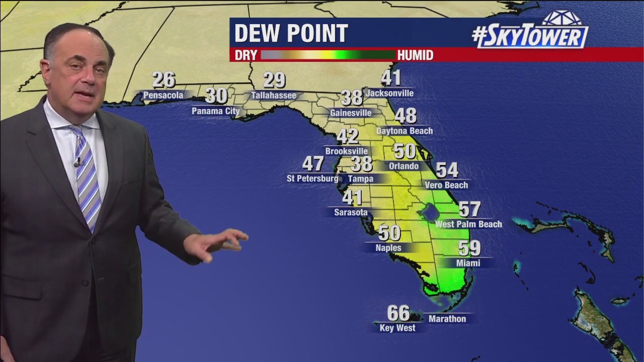 Tampa Weather | Warmer days; slight chance for showers