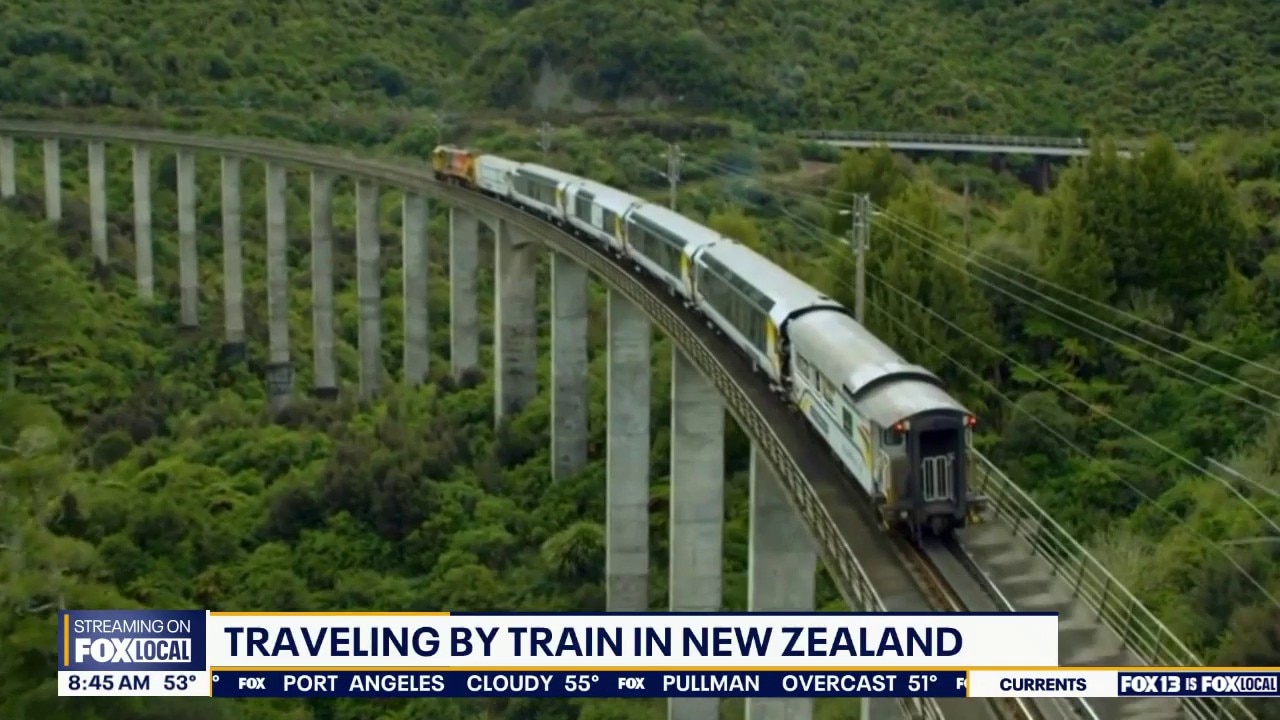 Ways to travel in New Zealand 