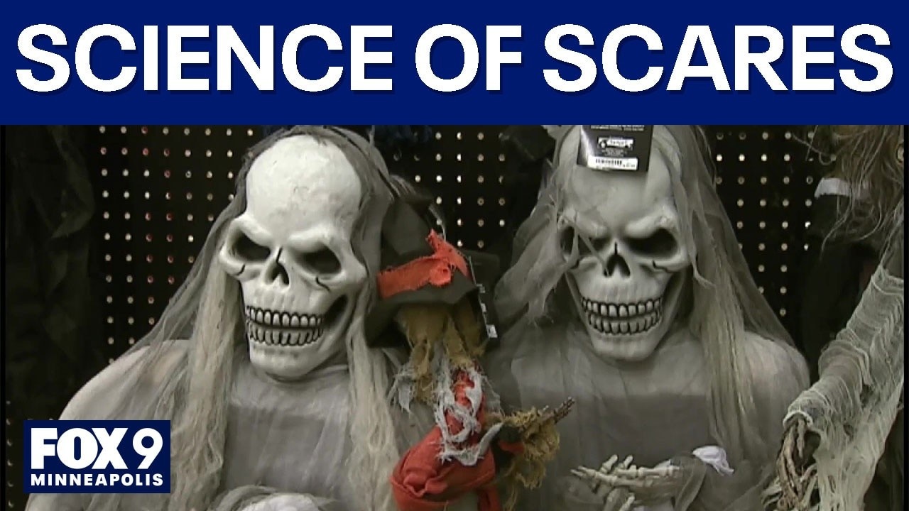 Why we love being scared around Halloween