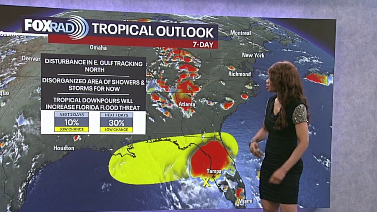 Tropical Weather Forecast: Watching for potential development in the Gulf