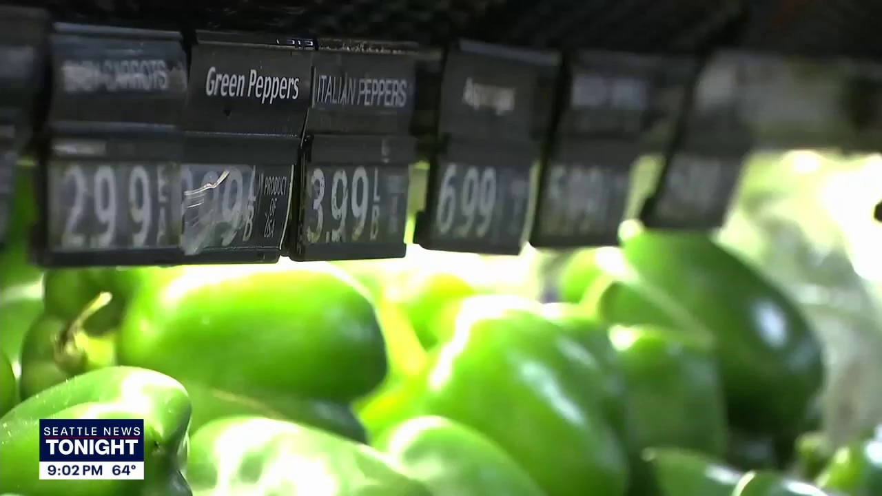 Seattle passes ban on AI grocery 'surveillance pricing'