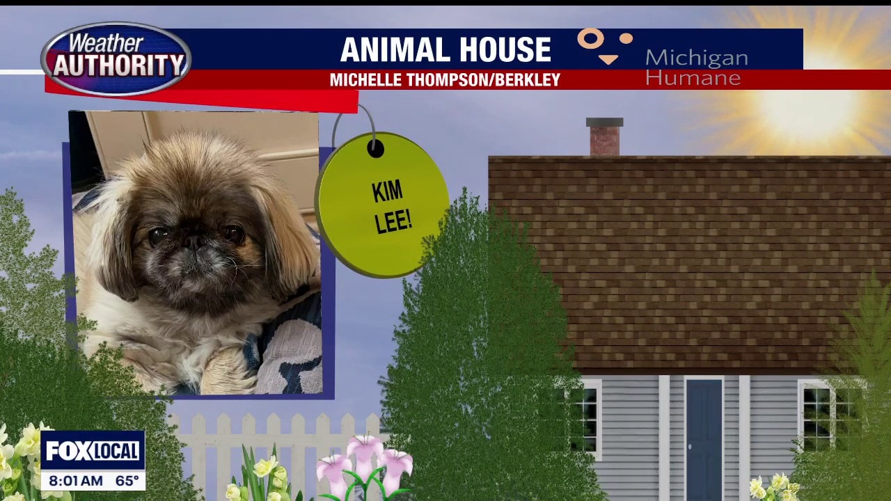 Welcome Kim Lee, Vinny, Journi