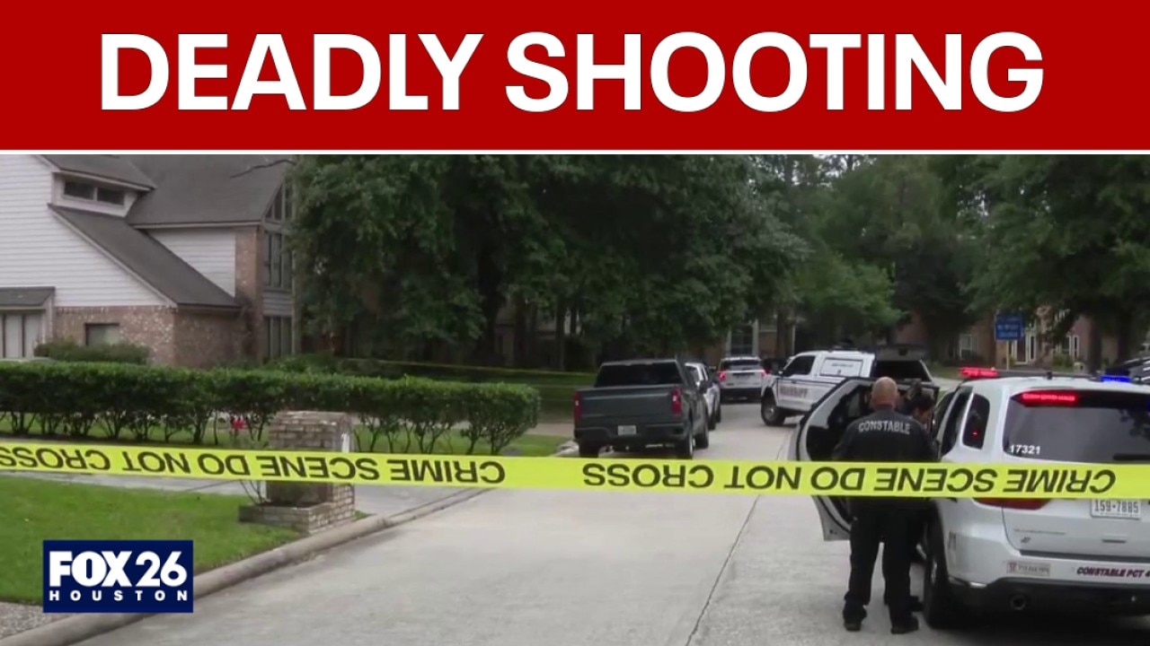 Harris County burglary suspect shot, killed by homeowner: constable