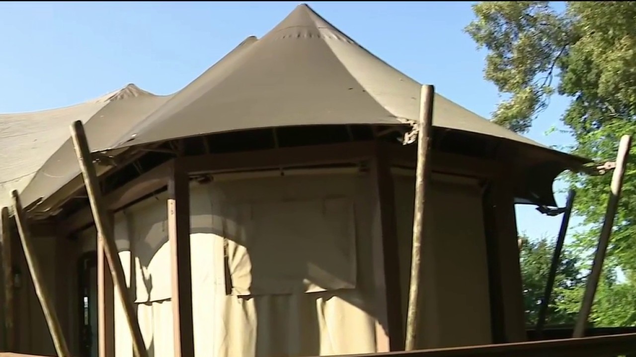 Experience African Savanna at Georgia Safari Conservation Park