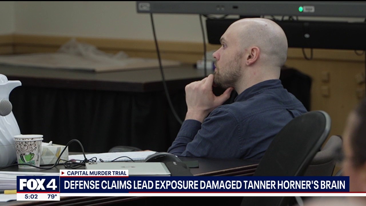 Jurors hear testimony on Tanner Horner's mental state