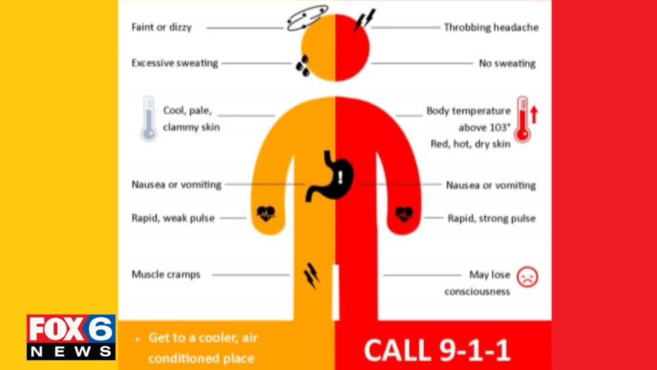 Heat-Related Dangers & Tips