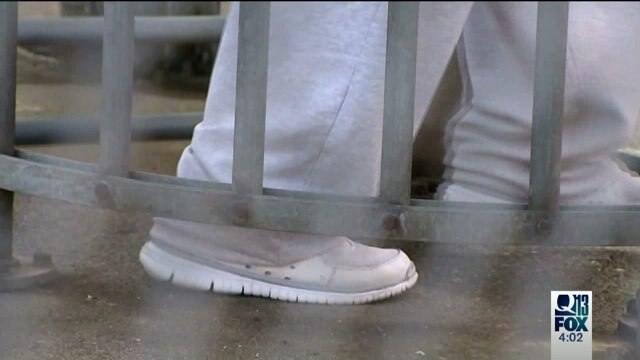 Inmates released early investigation