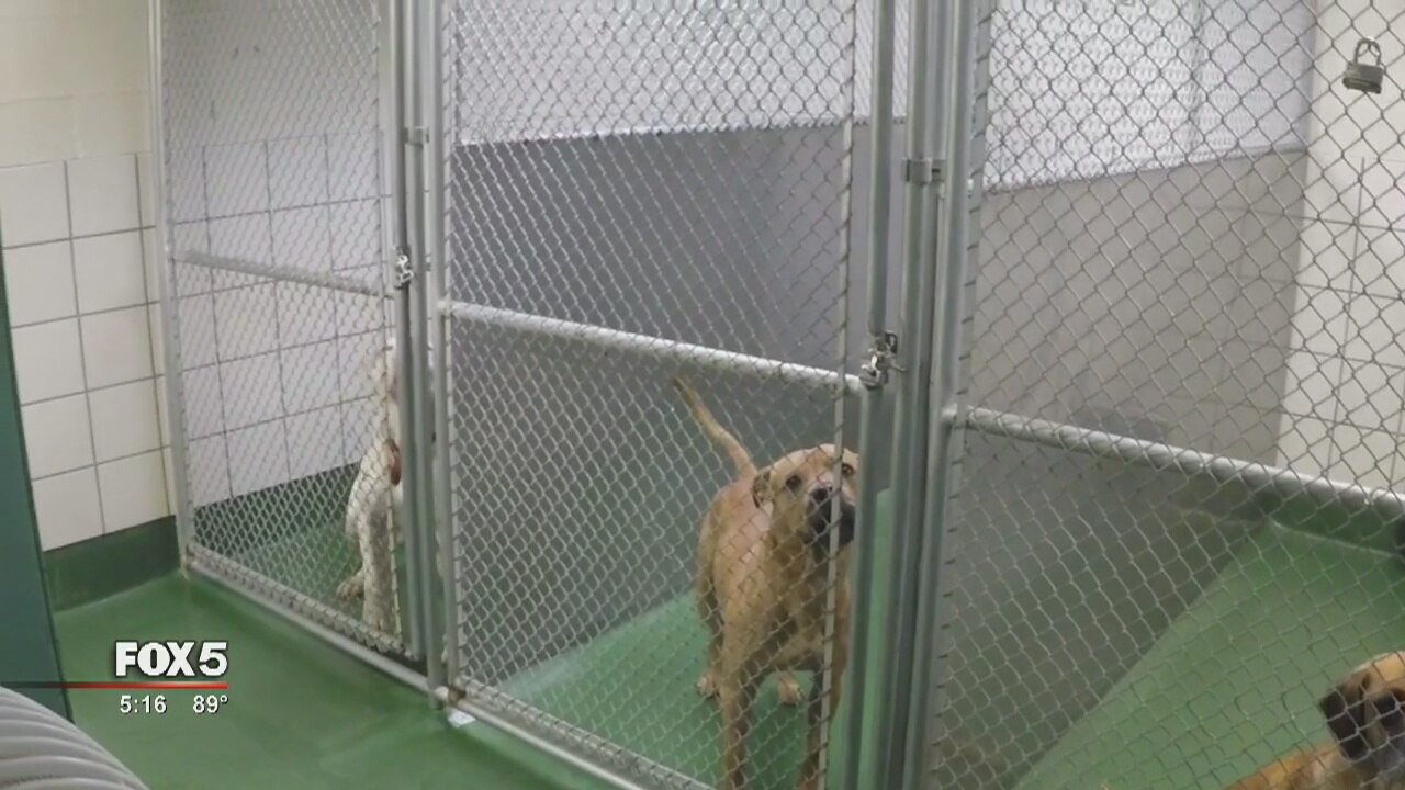 Controversial animal shelter policy