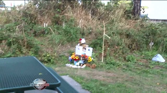 Murder Mystery: Michael Bippes