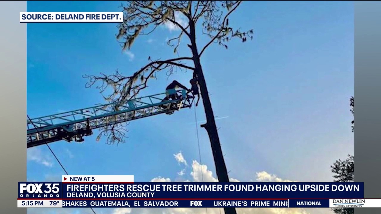 Tree worker rescued after seizure leaves him hanging upside down in DeLand