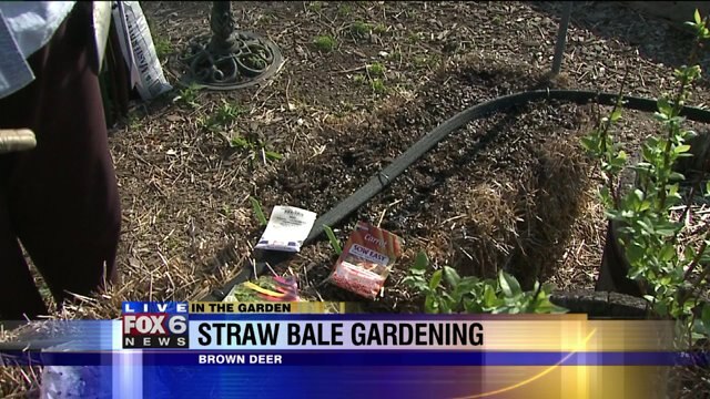 Straw bale gardening