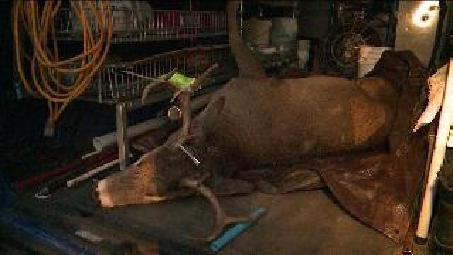 Gun deer hunting season comes to an end
