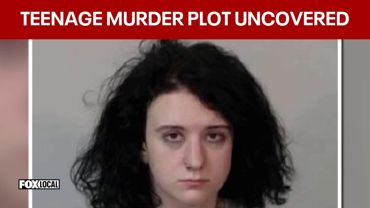 Hit-and-run arrest uncovers teenage murder plot