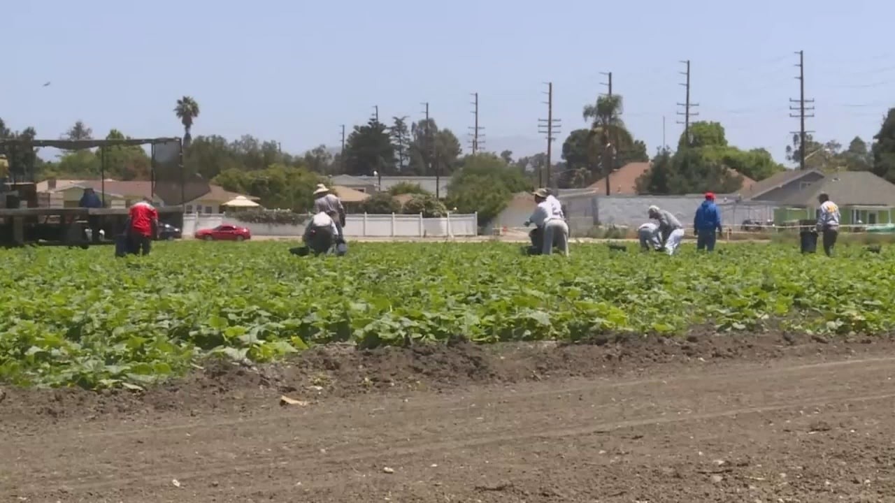 Illinois farmers adapt to changing summer weather