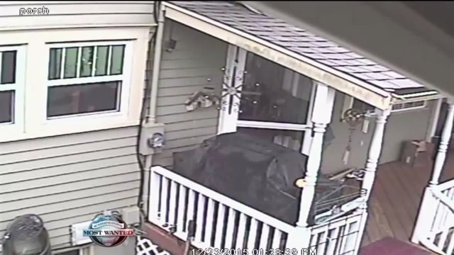 Bold home burglar shows importance of security camera placement