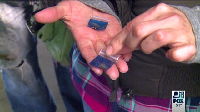 Q13 FOX EXCLUSIVE: Inside the largest drug sting in Seattle history