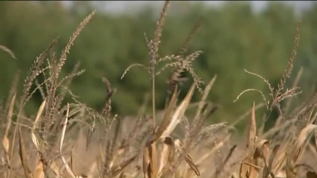 Kenosha County manhunt keeps surrounding communities on high alert