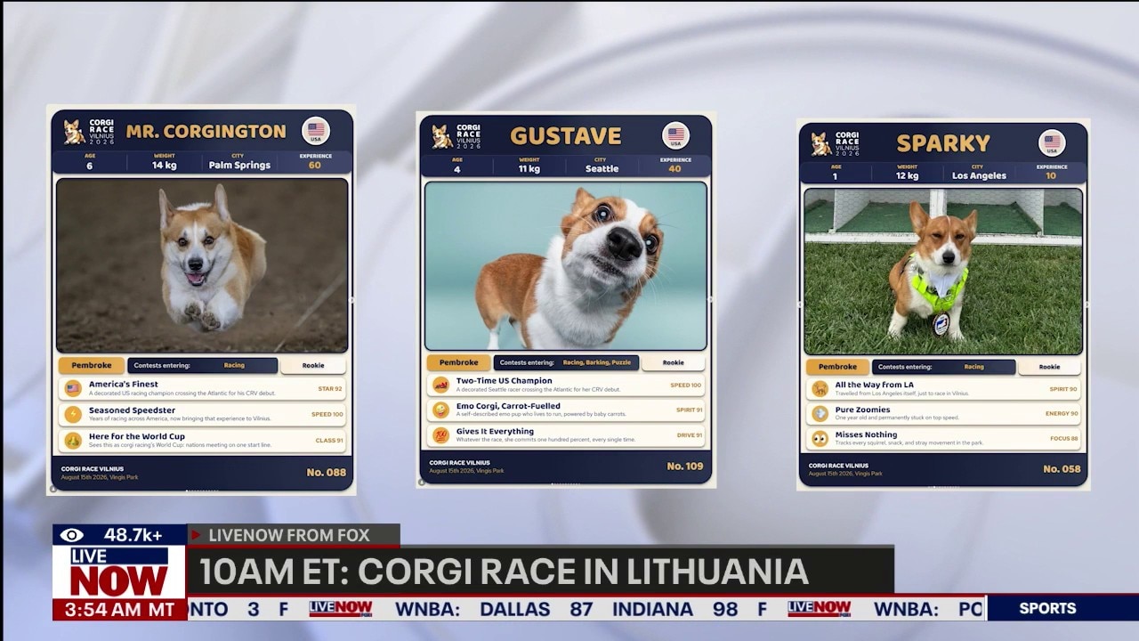 Saturday: Americans compete in Lithuania Corgi race