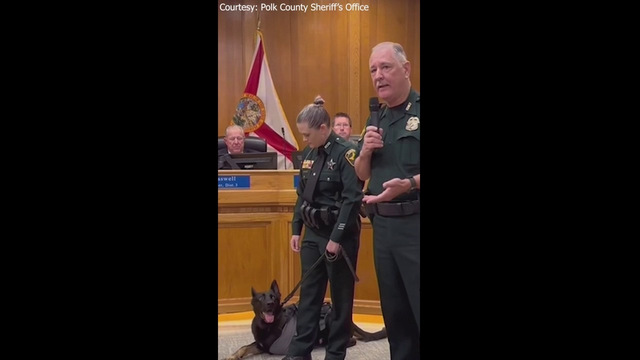 K9 Ace honored after losing leg to gunfire