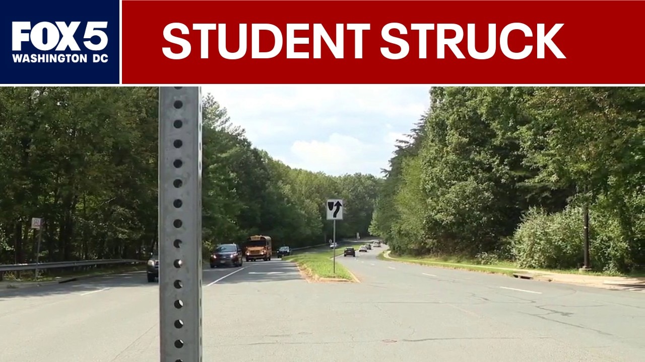 Calls to restore Fairfax County high school crossing guards after student struck