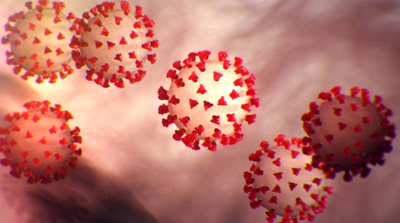 How to fight misinformation about Coronavirus