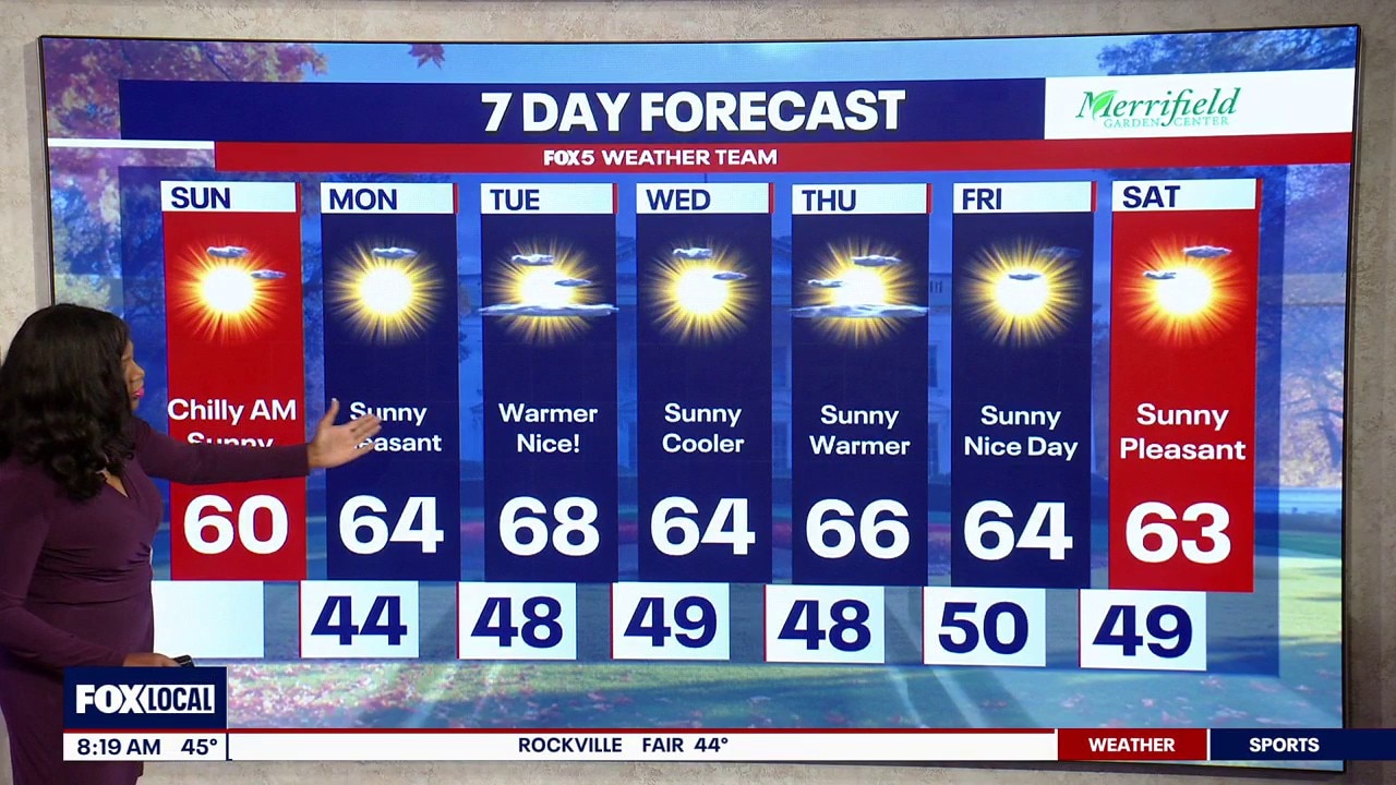 DC weather: Sunday morning forecast