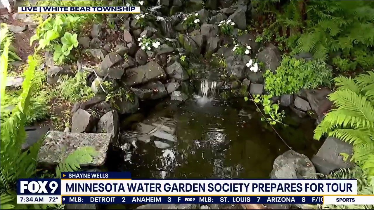 Water garden inspiration
