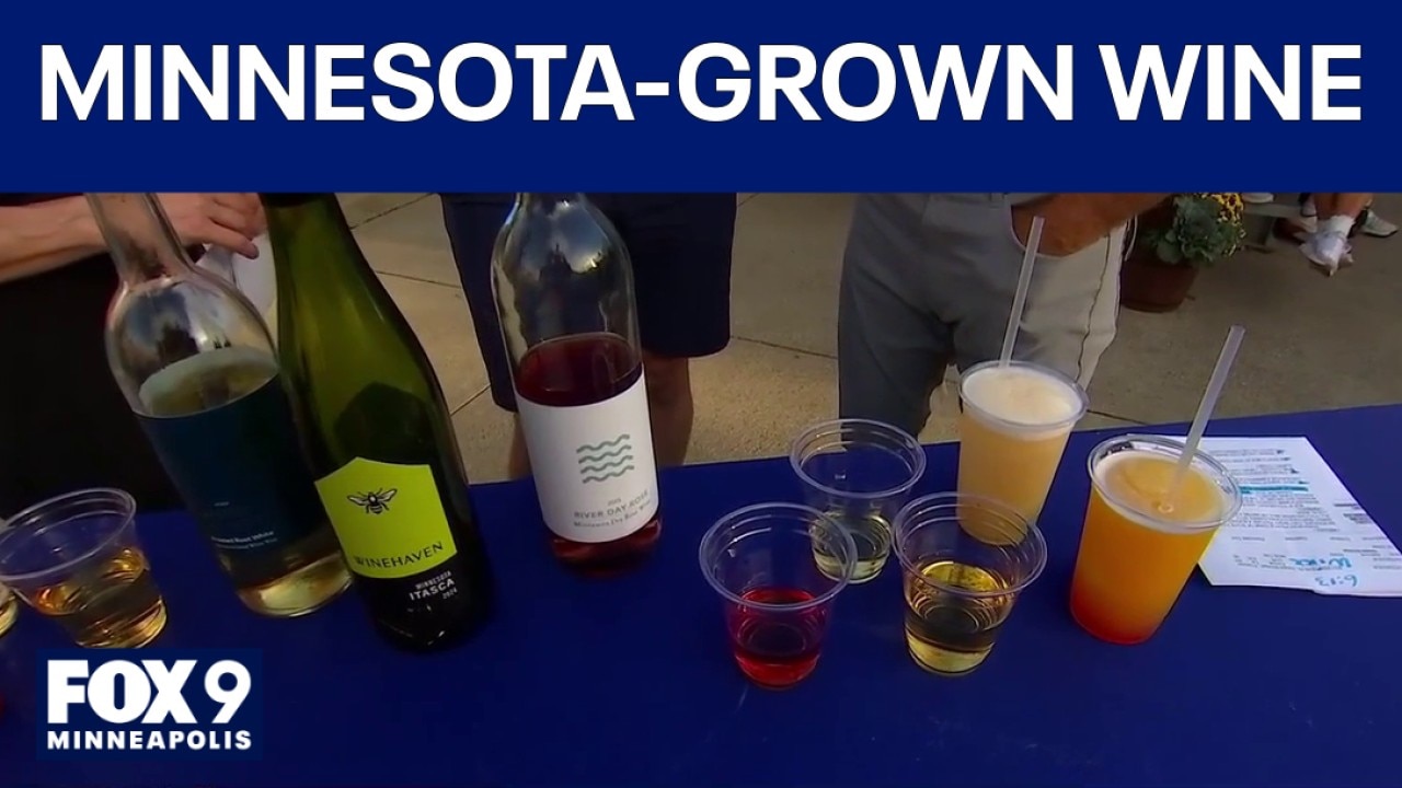 Trying Minnesota-grown wines at the State Fair