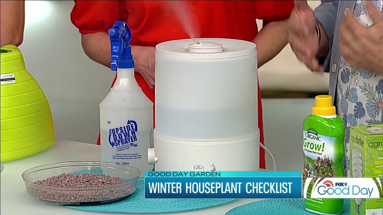 Winter houseplant checklist