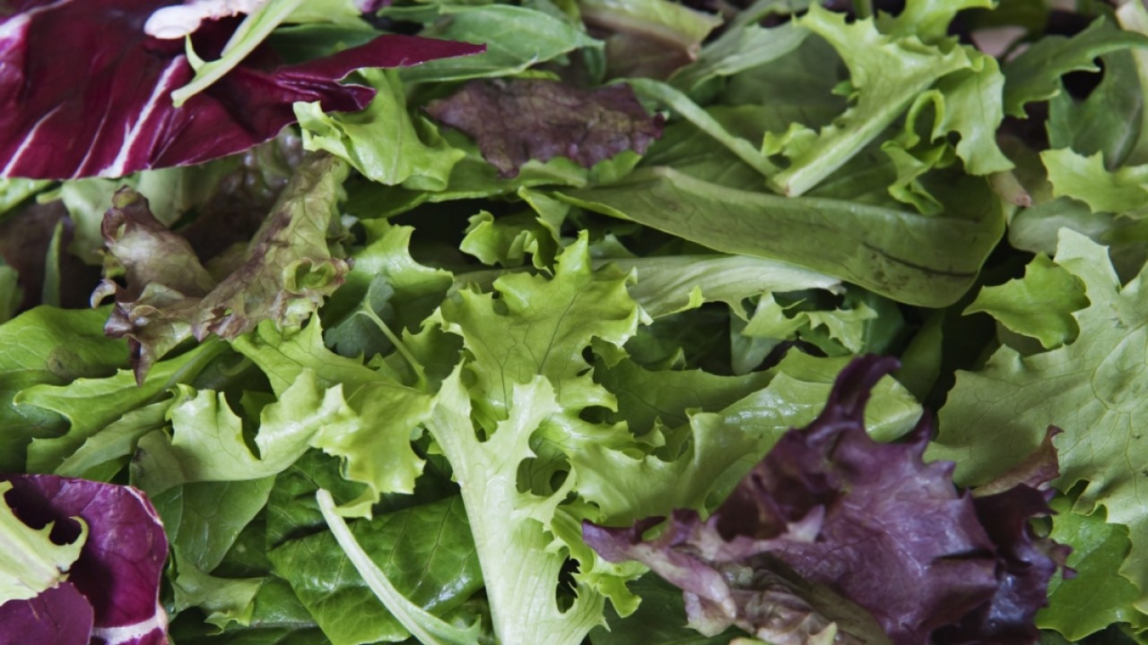 FDA: Taylor Farms lettuce Cyclospora finding was a false positive
