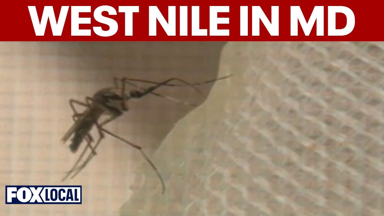 Maryland spraying for West Nile virus after positive mosquito traps