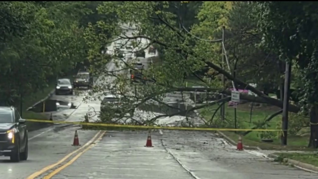 FOX 2 viewers share video/photos of the storm