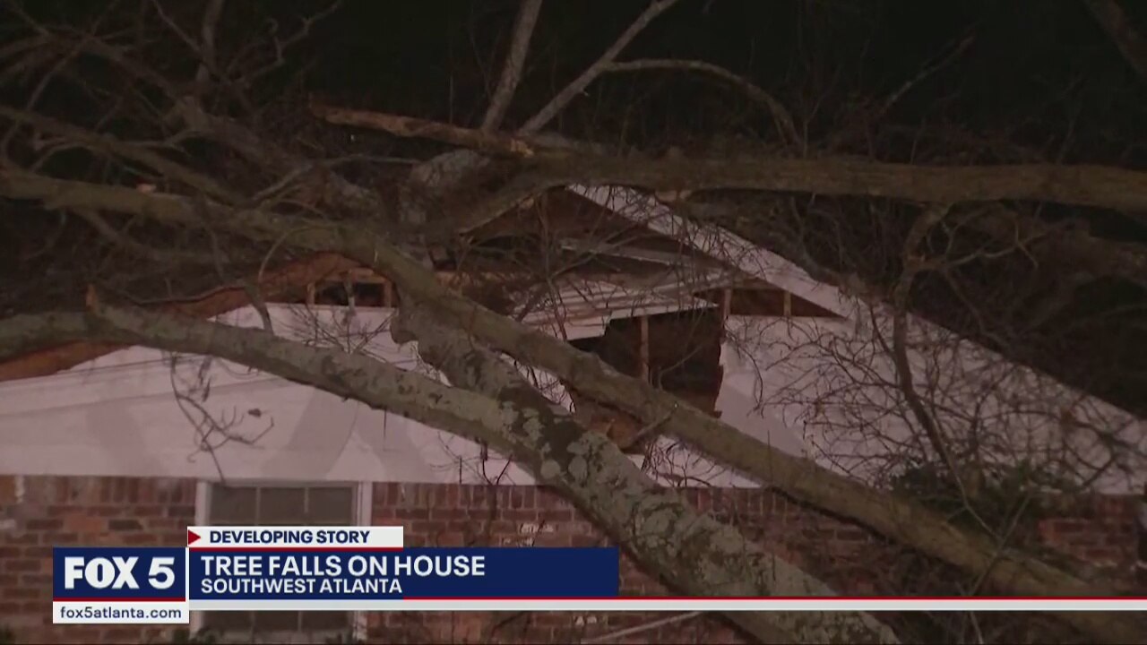 Tree falls on southwest Atlanta home
