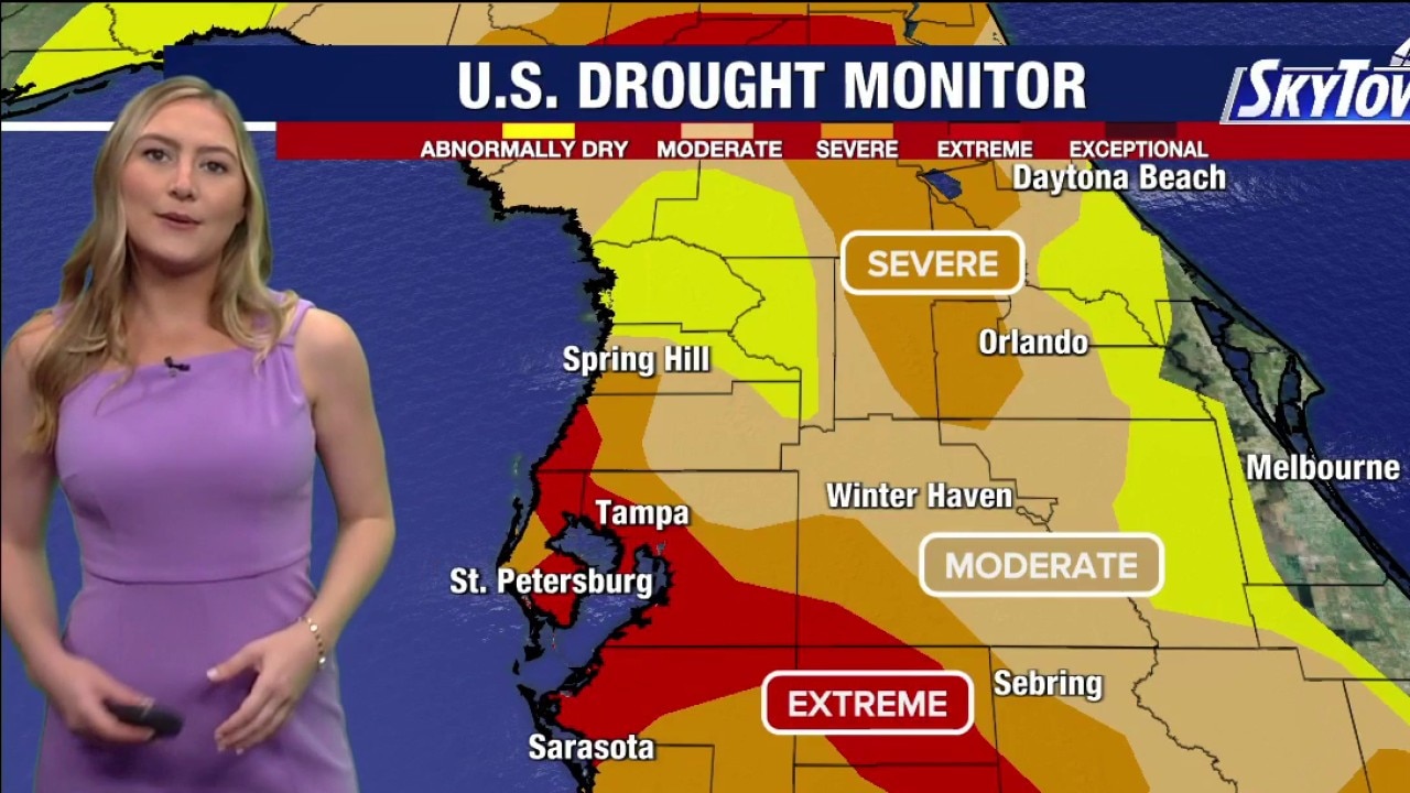 Tampa weather | Saturday morning forecast