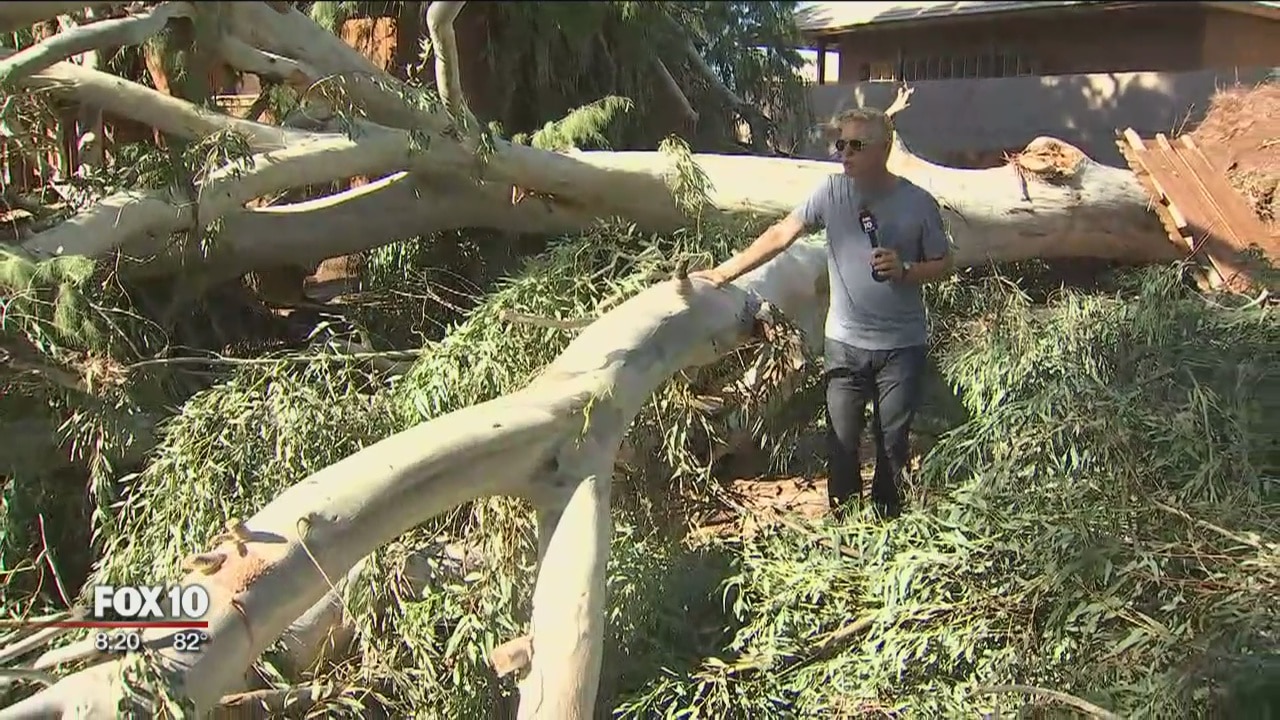 Phoenix Zoo closed as crews clean up after monsoon storm