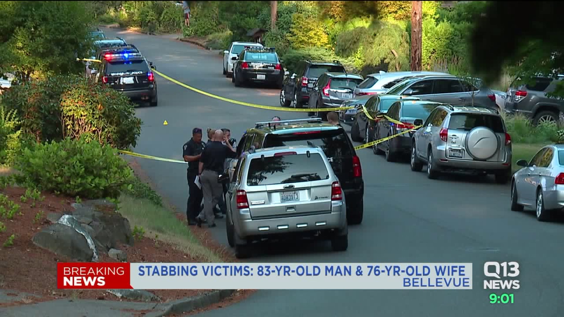 Belleuve Double Stabbing