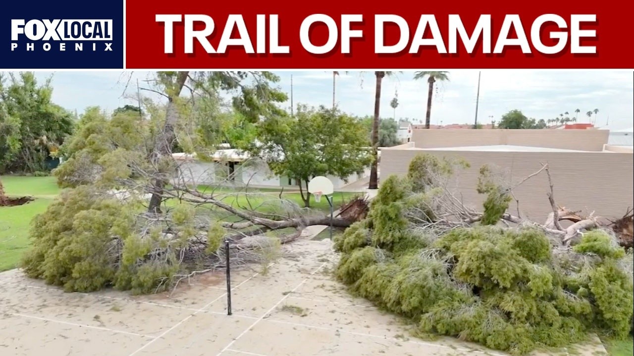 Mesa residents clean up after tornado-like storm hits the area