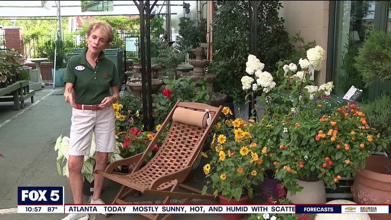 Pike Nursery helps you with landscaping