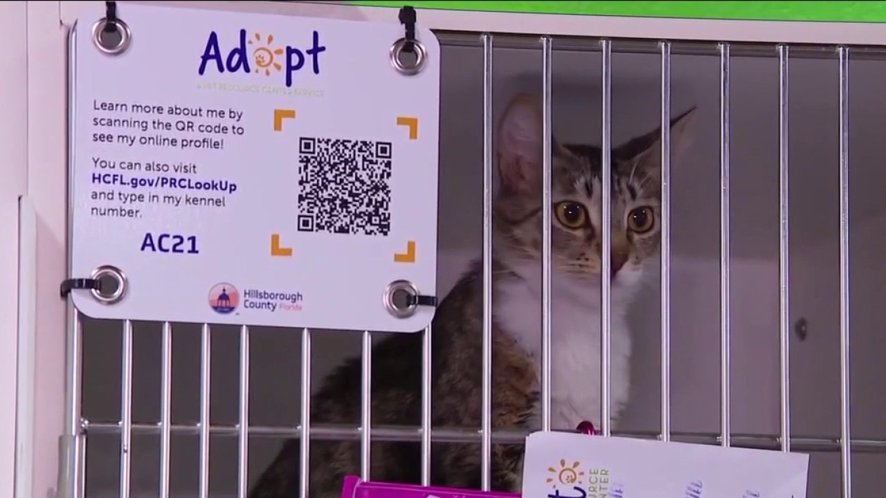 Calls grow for new pet resource center shelter