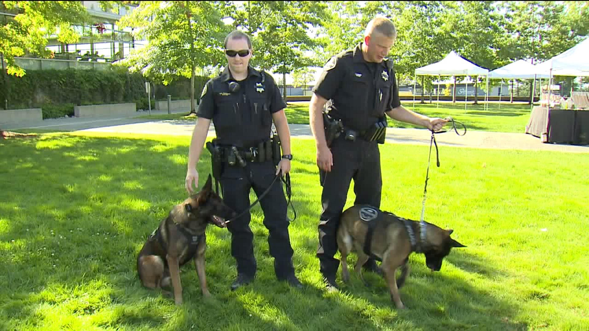 Donations needed for Kevlar vests for two K-9s