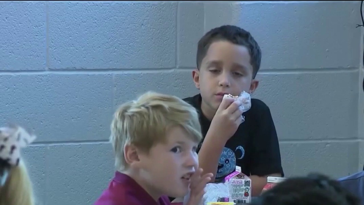 What Should Stay Out of the Lunchbox?