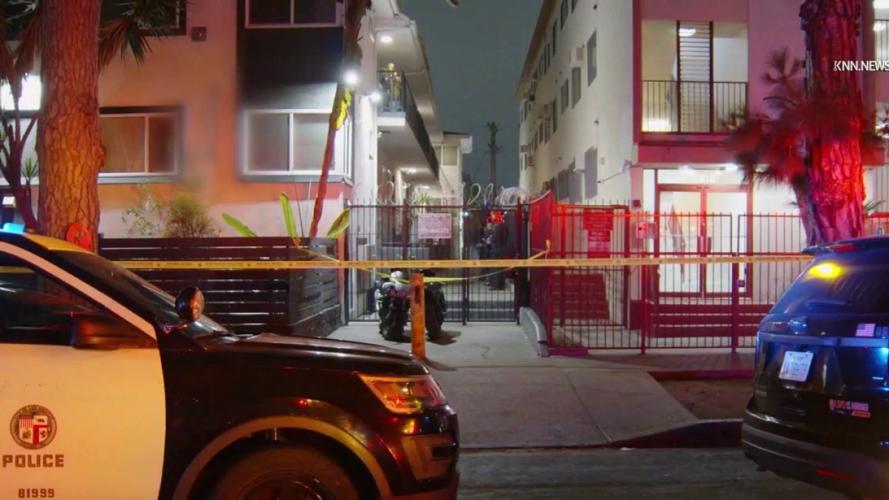Man shot to death in Hollywood apartment