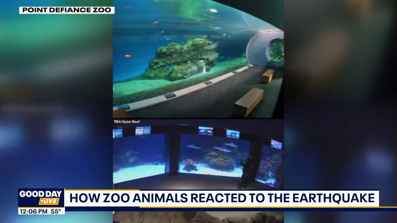 Point Defiance Zoo animals react to earthquake