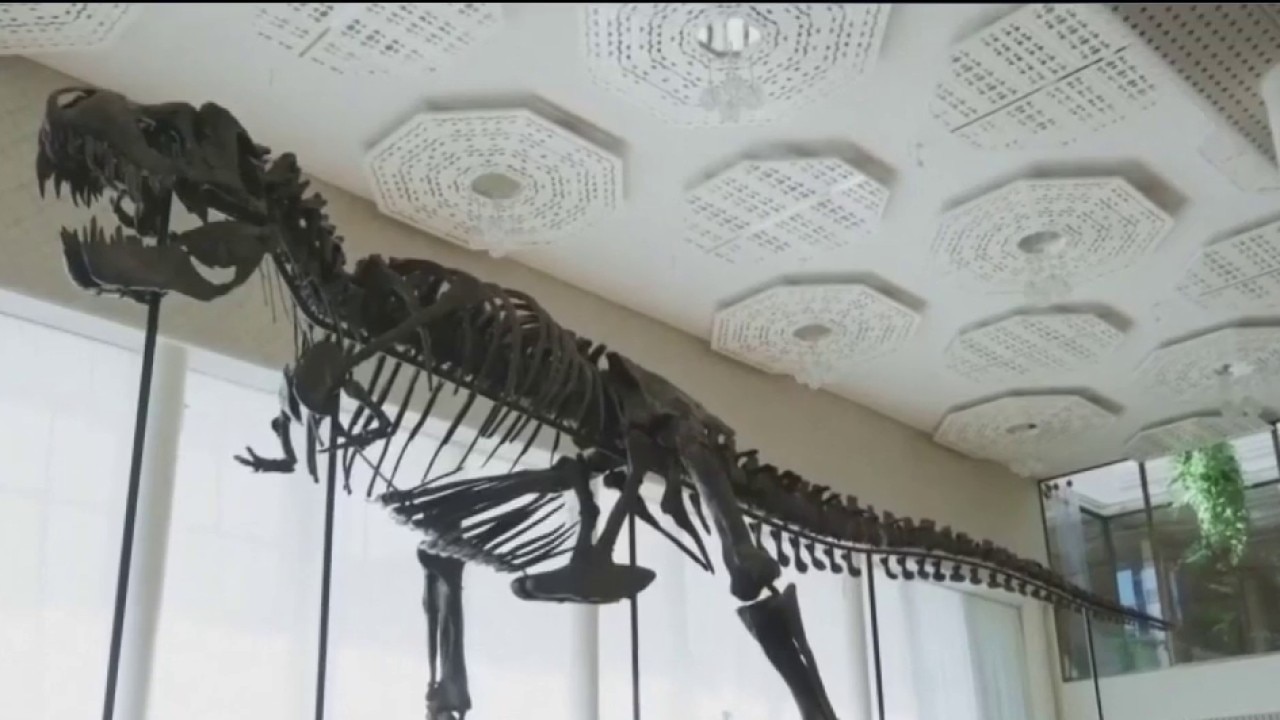 The reason behind T. rex's tiny arms